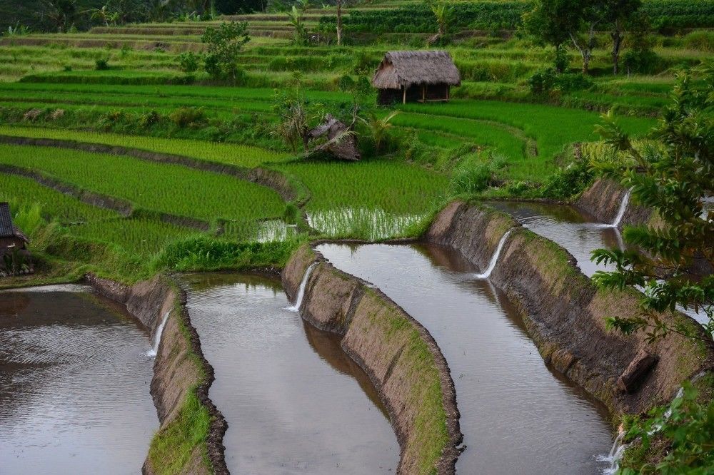 Arta Nadi Villa Sidemen  Ngoại thất bức ảnh